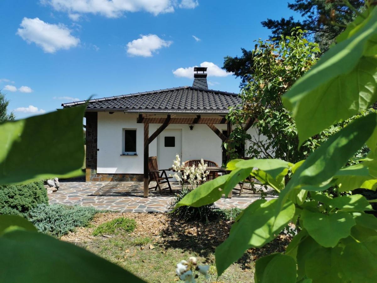 Ferienhaus Hase Bomsdorfer Hof Грефенгайніхен Екстер'єр фото